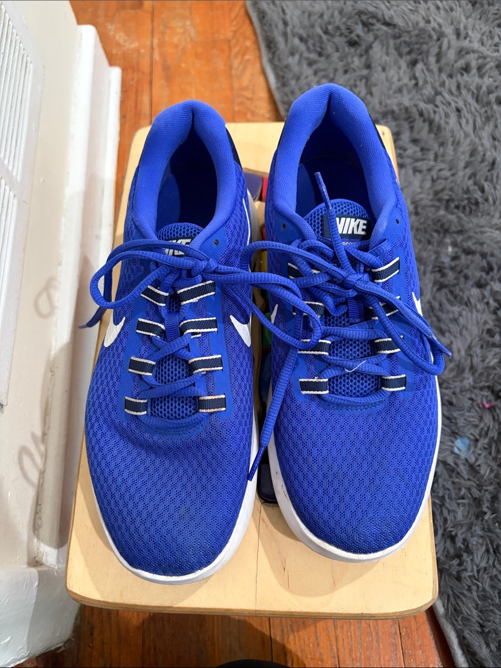 Nike Youth Royal Blue Mesh Sneakers with White Swoosh